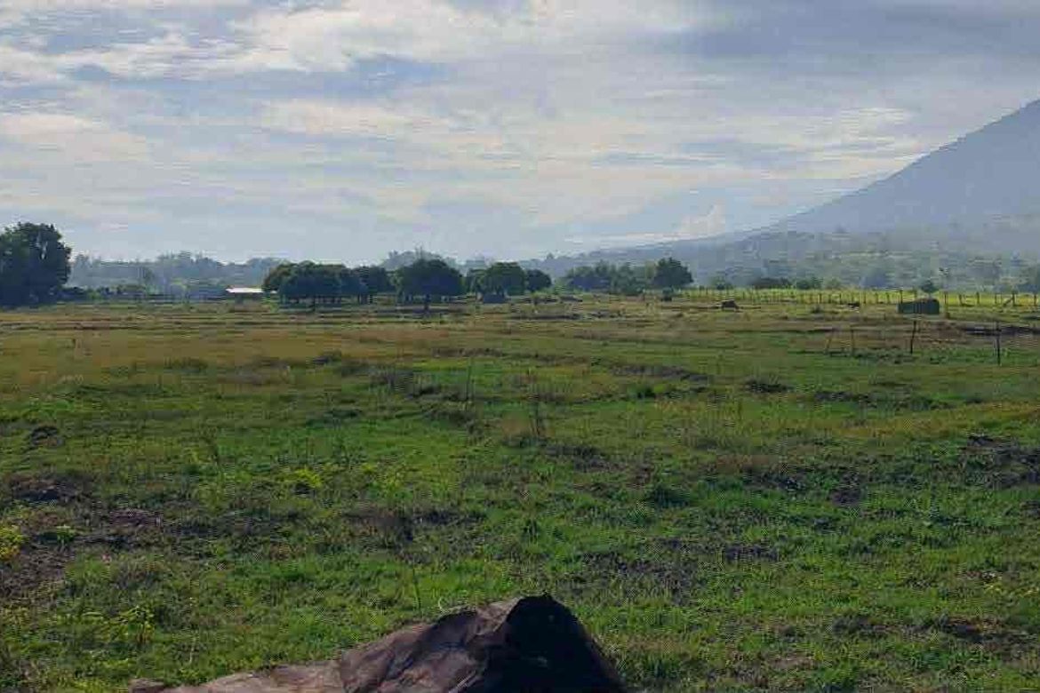 Land for Sale in Santa Cruz, Magalang, Pampanga – photo 4