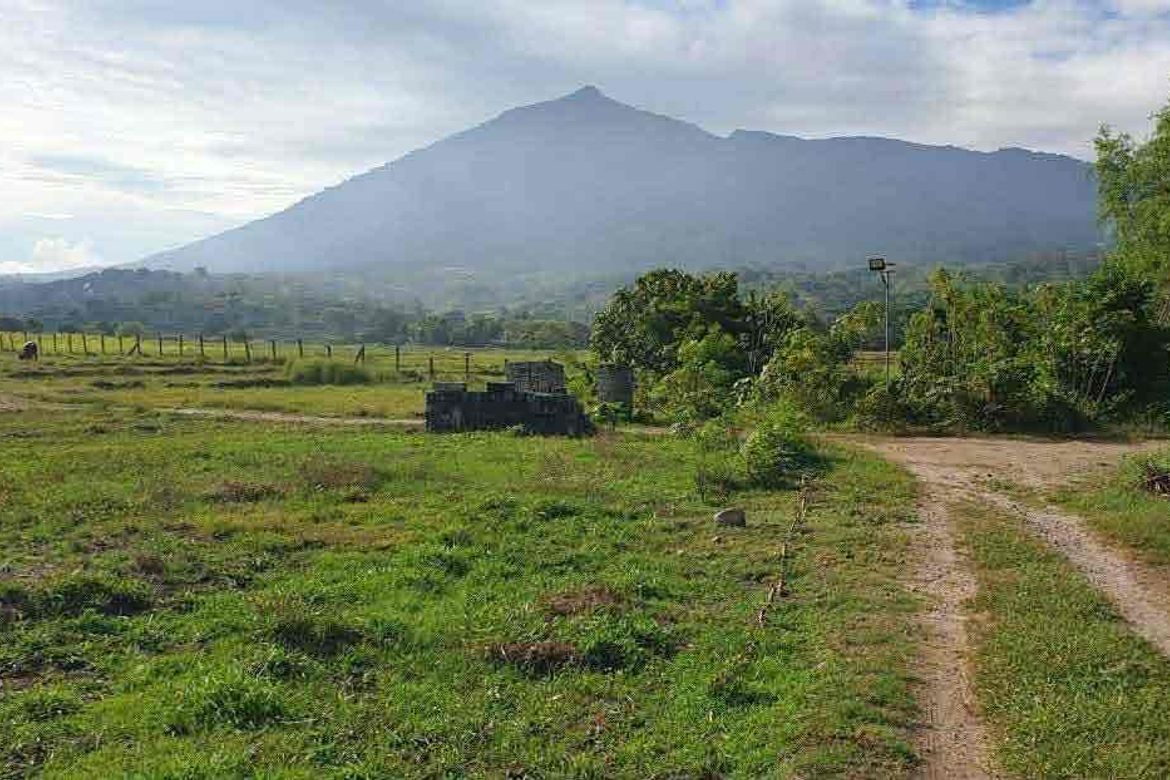 Land for Sale in Santa Cruz, Magalang, Pampanga – photo 5