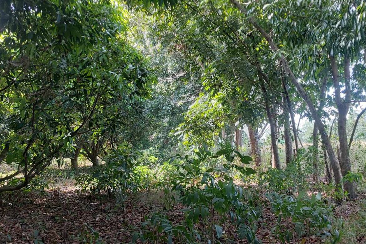 Land for Sale in Santa Cruz, Magalang, Pampanga – photo 2
