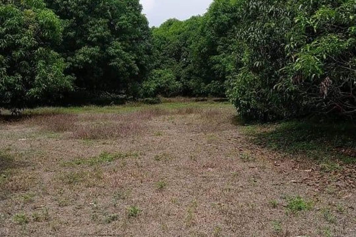 Land for Sale in Santa Cruz, Magalang, Pampanga – photo 6