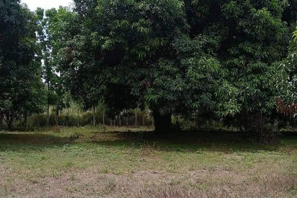 Land for Sale in Santa Cruz, Magalang, Pampanga – photo 8