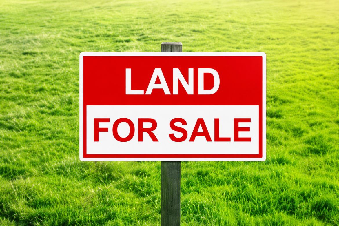 Land for Sale in Santa Cruz, Magalang, Pampanga – photo 2