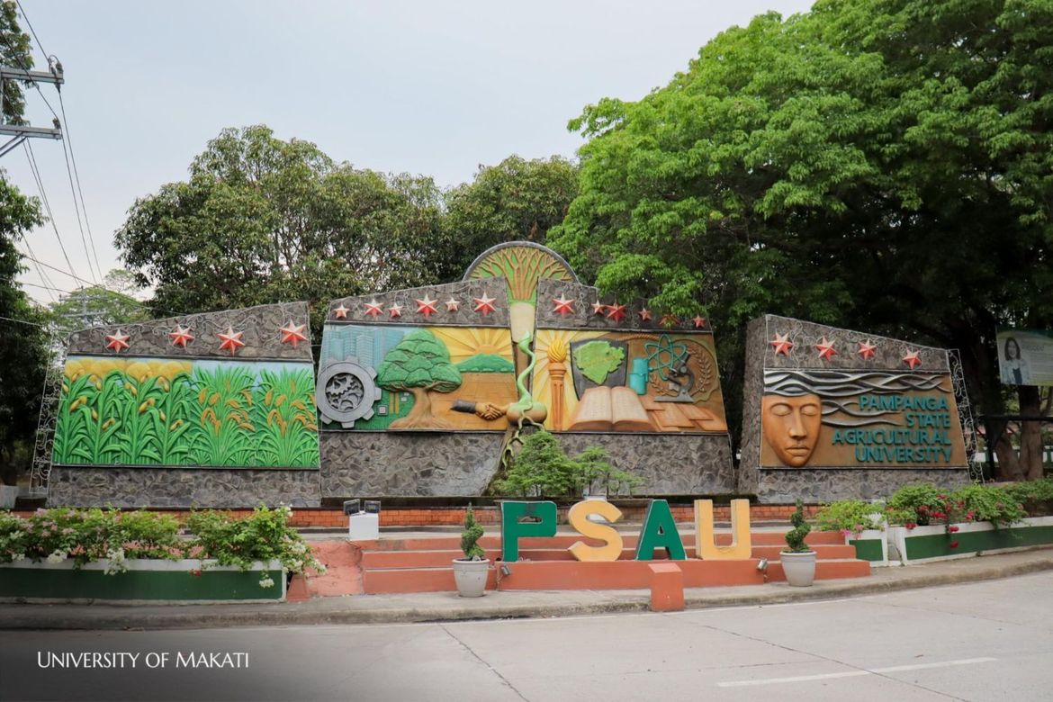 Land for Sale in Santa Cruz, Magalang, Pampanga – photo 2