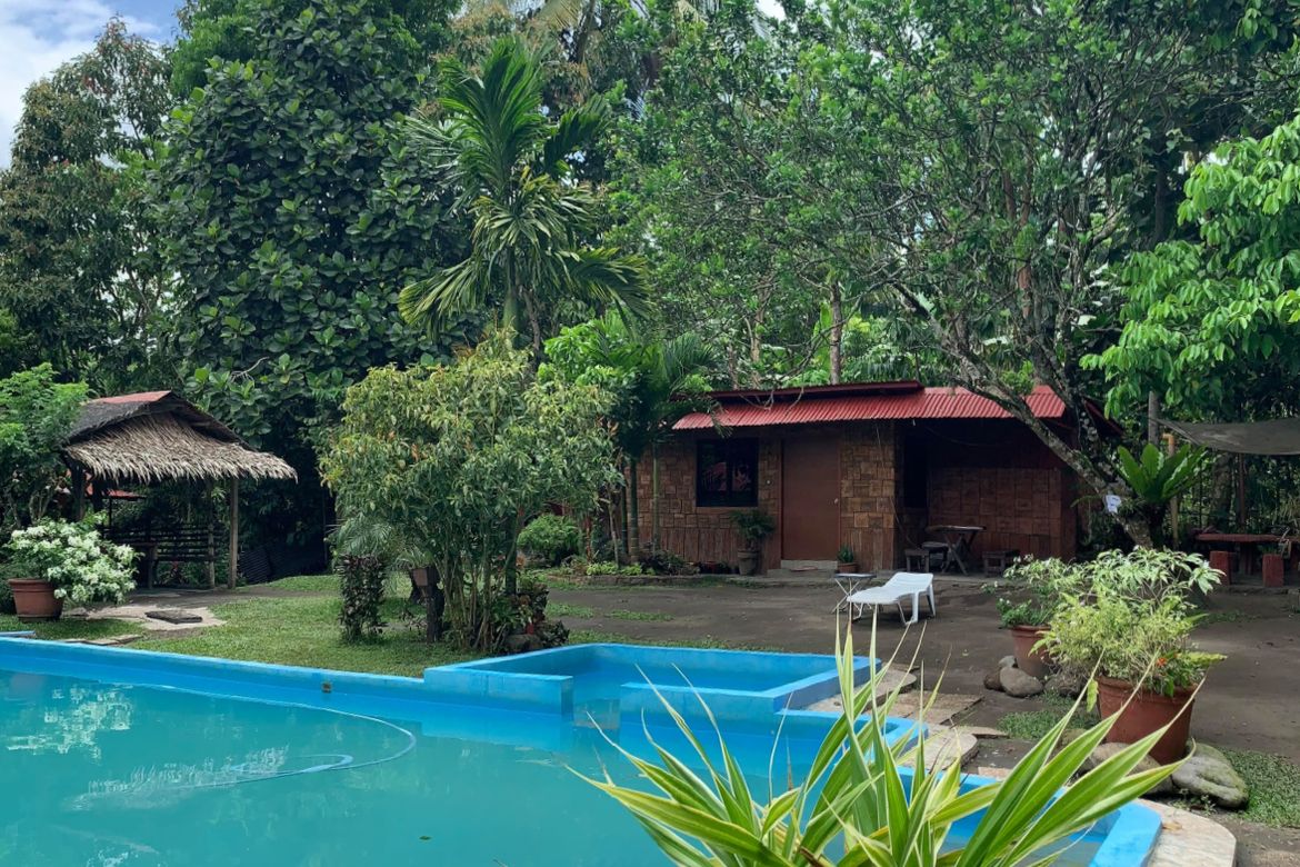 Land for Sale in Santa Cruz, Murcia, Negros Occidental – photo 2