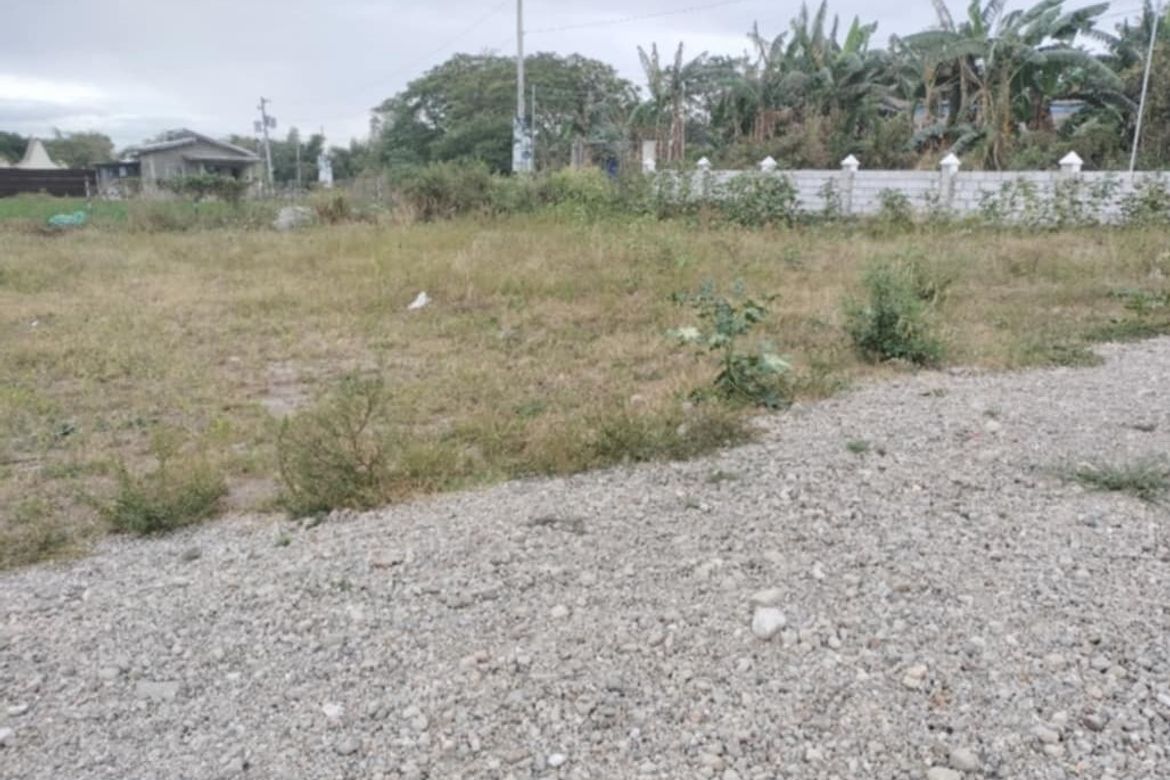Land for Sale in Santa Cruz, Porac, Pampanga – photo 4