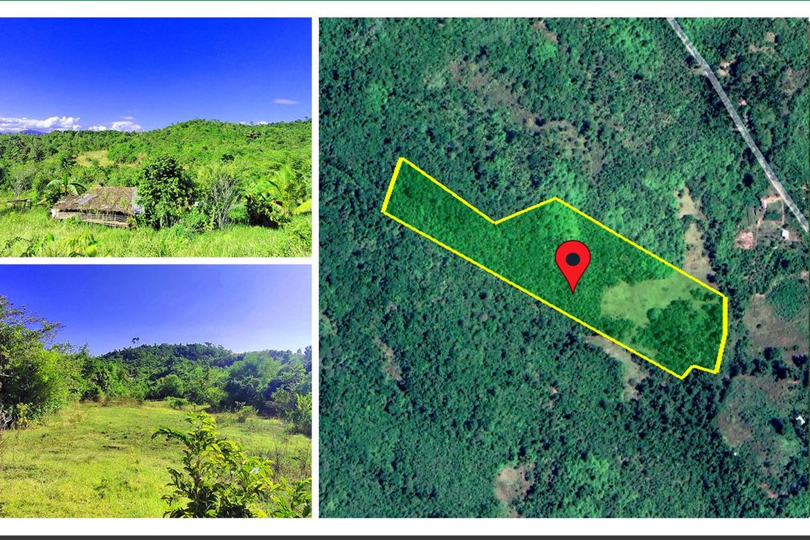 Land for Sale in Santa Cruz, Puerto Princesa, Palawan