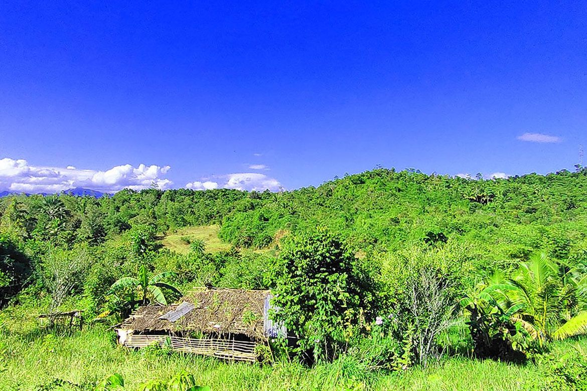 Land for Sale in Santa Cruz, Puerto Princesa, Palawan – photo 2
