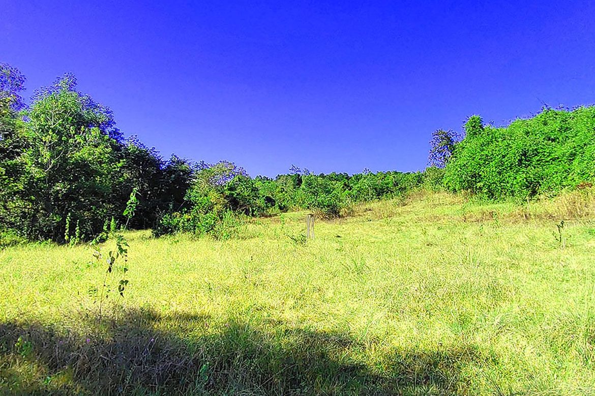 Land for Sale in Santa Cruz, Puerto Princesa, Palawan – photo 3