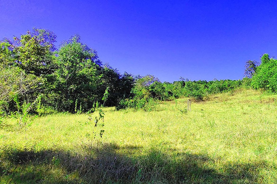 Land for Sale in Santa Cruz, Puerto Princesa, Palawan – photo 4