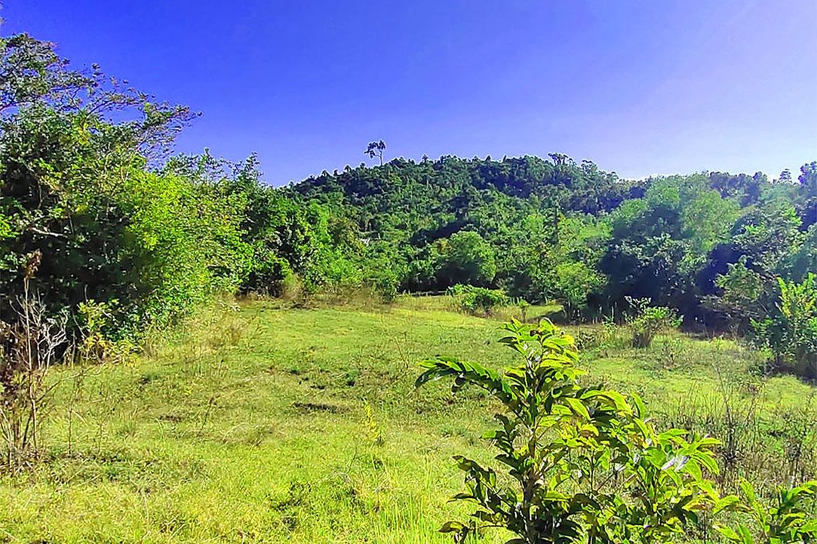 Land for Sale in Santa Cruz, Puerto Princesa, Palawan – photo 7
