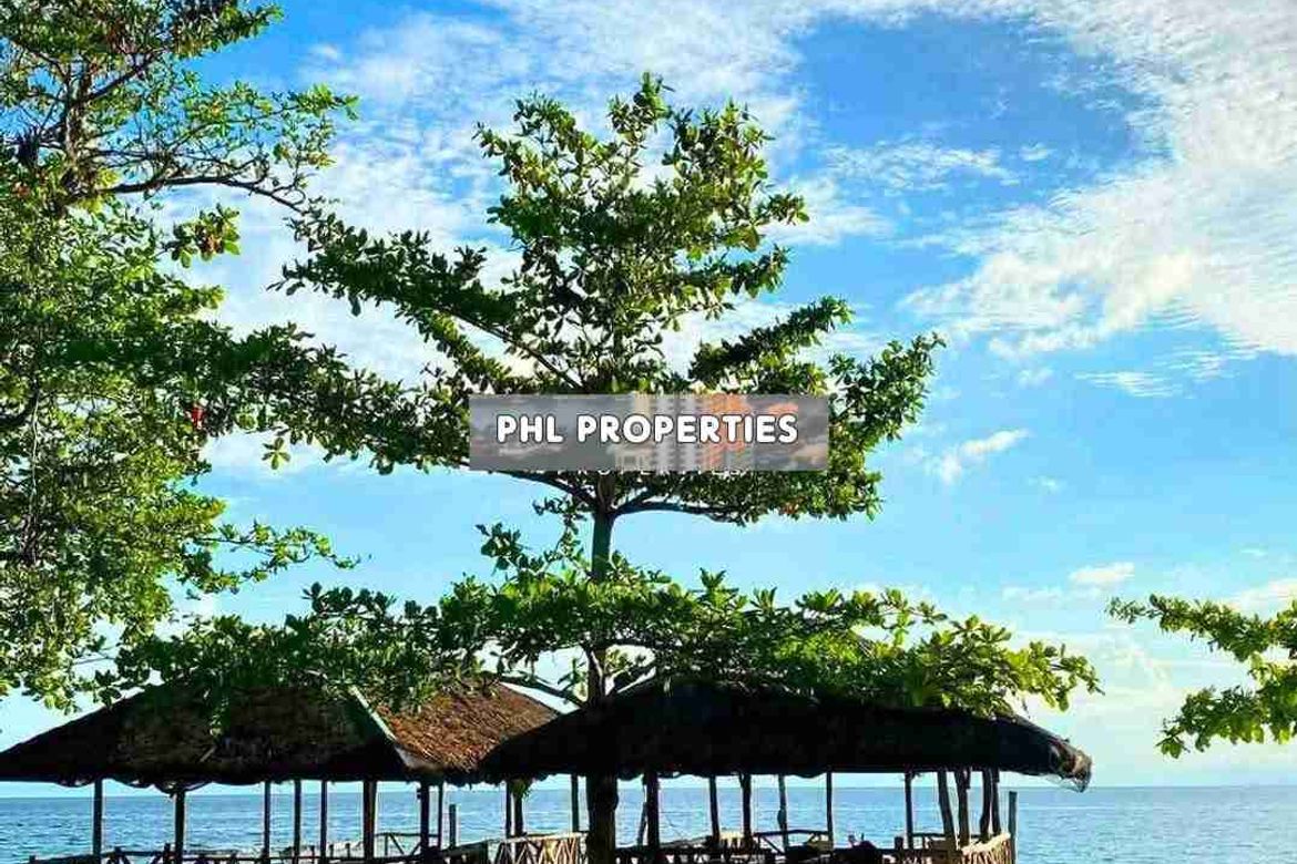 Land for Sale in Santa Cruz, Samal, Davao del Norte – photo 2