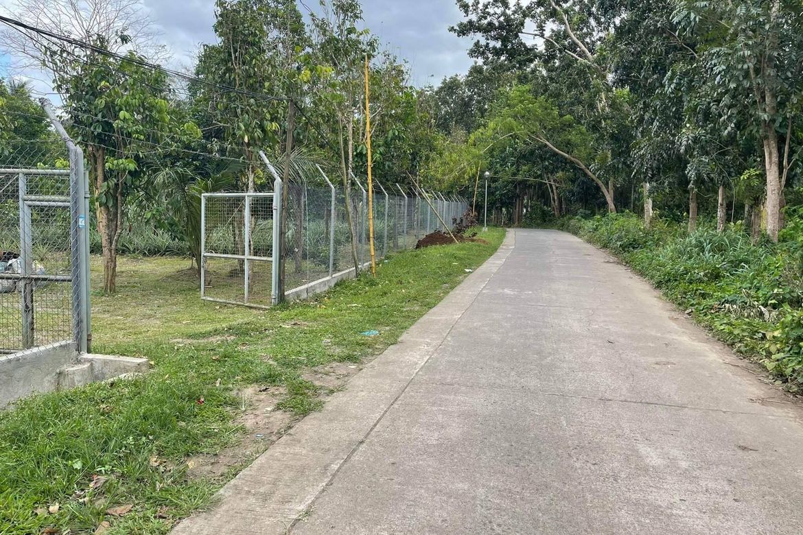 Land for Sale in Santa Cruz, San Pablo, Laguna