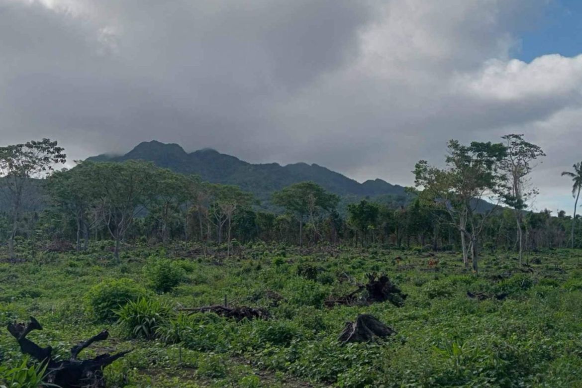 Land for Sale in Santa Cruz, Santo Tomas, Batangas – photo 3