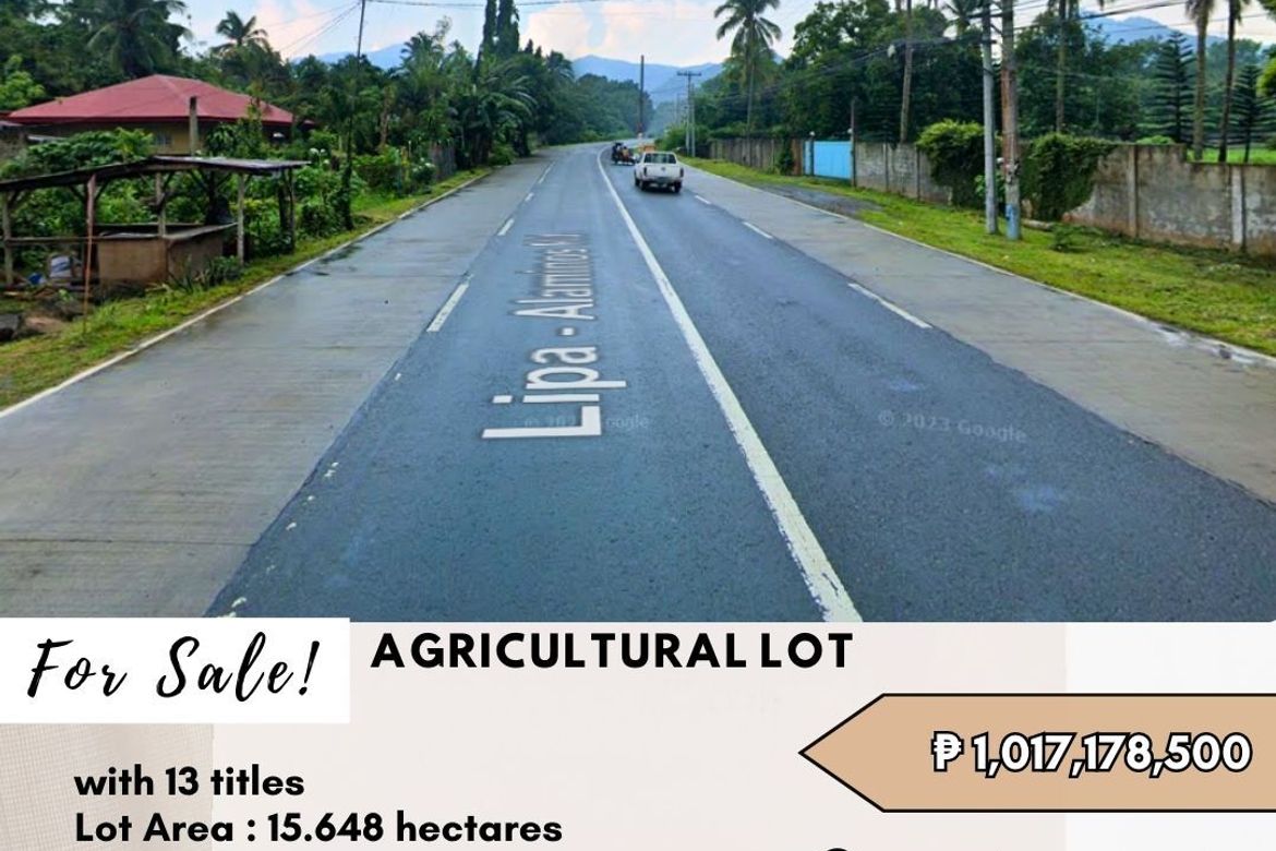 Land for Sale in Santa Cruz, Santo Tomas, Batangas