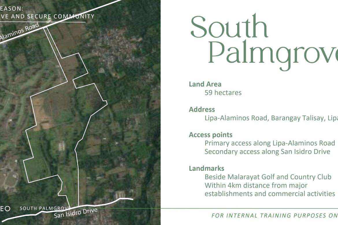 Land for Sale in Santa Cruz, Santo Tomas, Batangas – photo 6