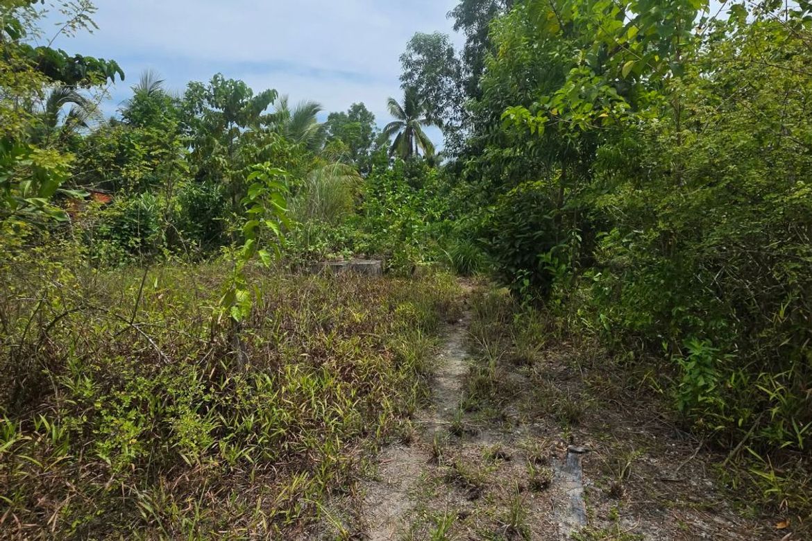 Land for Sale in Santa Fe, General Luna, Surigao del Norte – photo 4