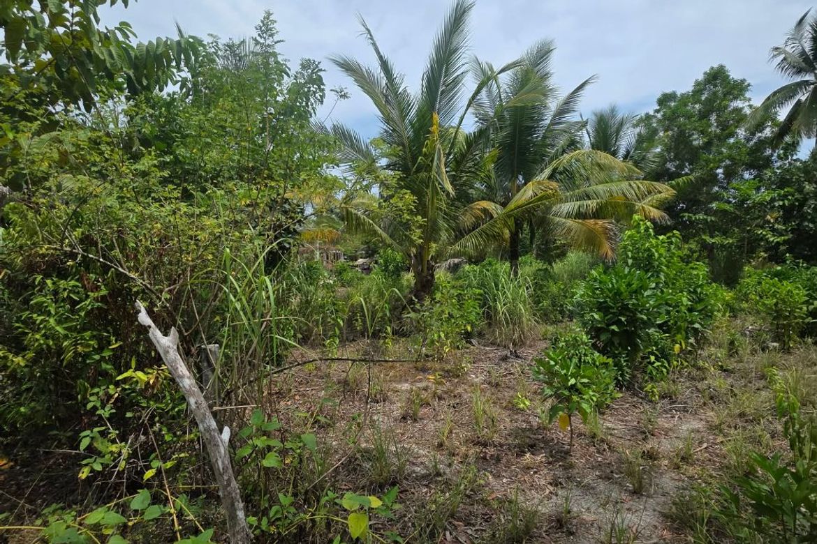 Land for Sale in Santa Fe, General Luna, Surigao del Norte – photo 6