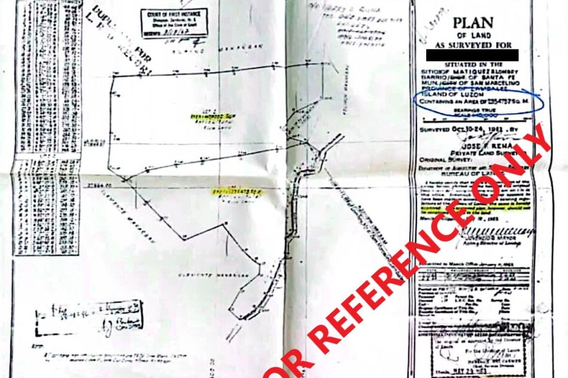 Land for Sale in Santa Fe, San Marcelino, Zambales – photo 2