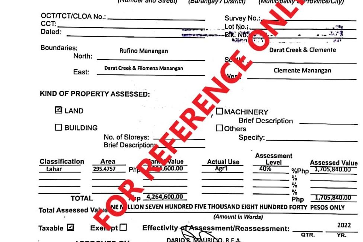Land for Sale in Santa Fe, San Marcelino, Zambales – photo 7