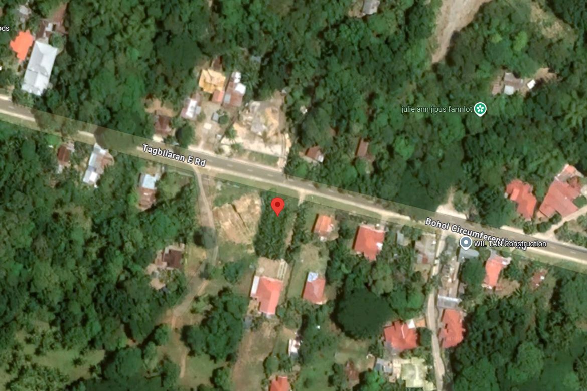 Land for Sale in Santa Filomena, Alburquerque, Bohol – photo 2