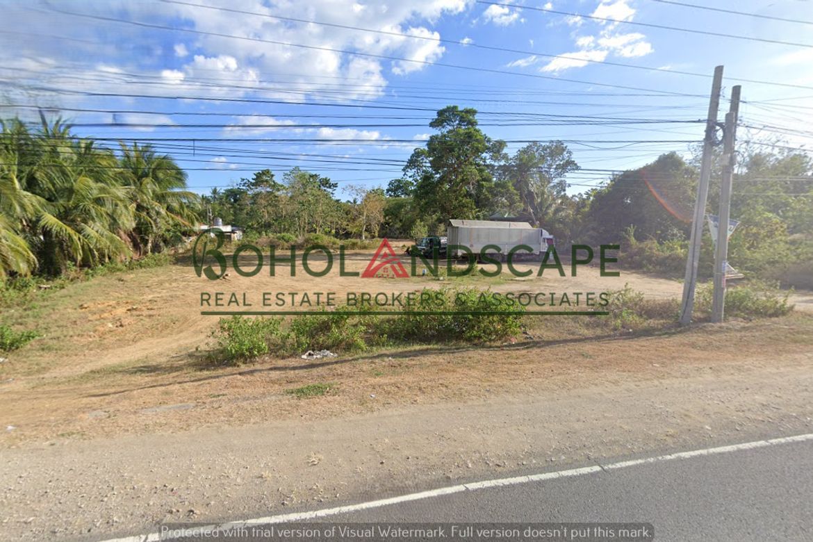 Land for Sale in Santa Filomena, Alburquerque, Bohol – photo 3