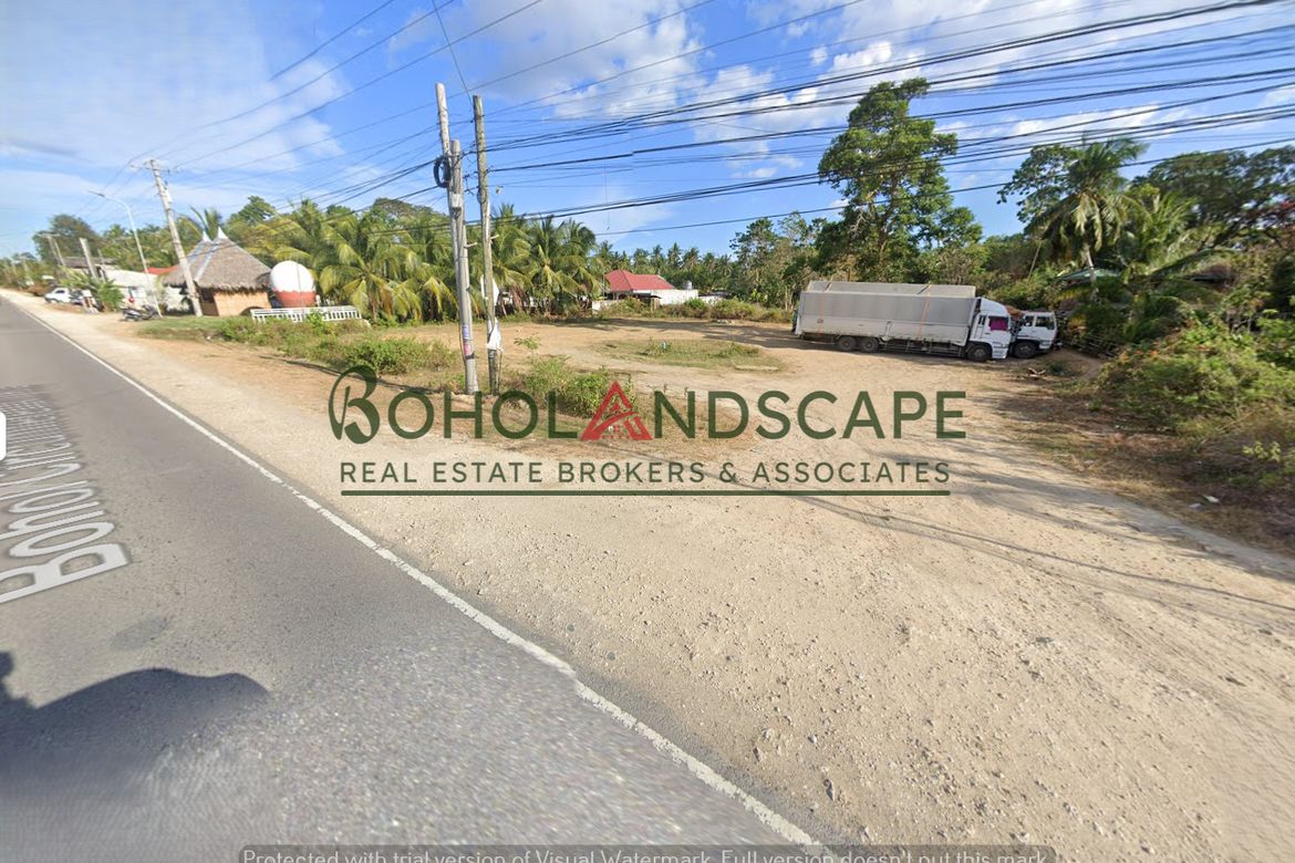 Land for Sale in Santa Filomena, Alburquerque, Bohol – photo 4