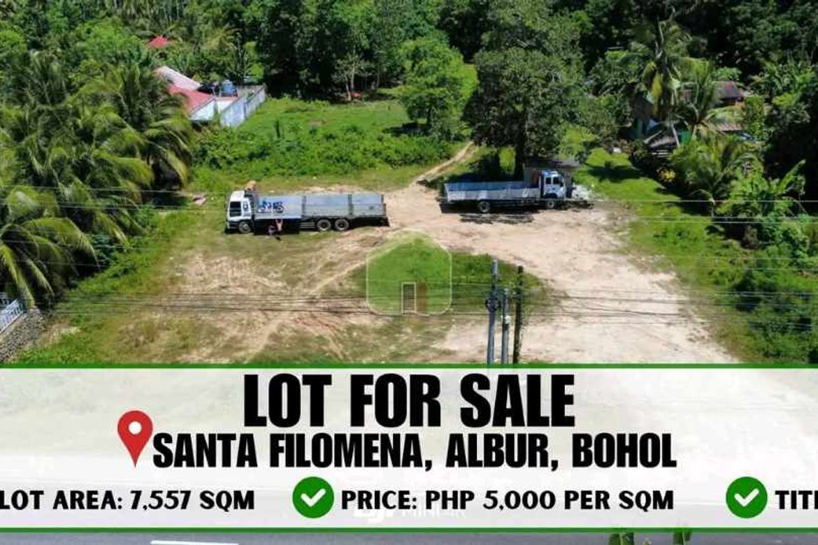 Land for Sale in Santa Filomena, Alburquerque, Bohol