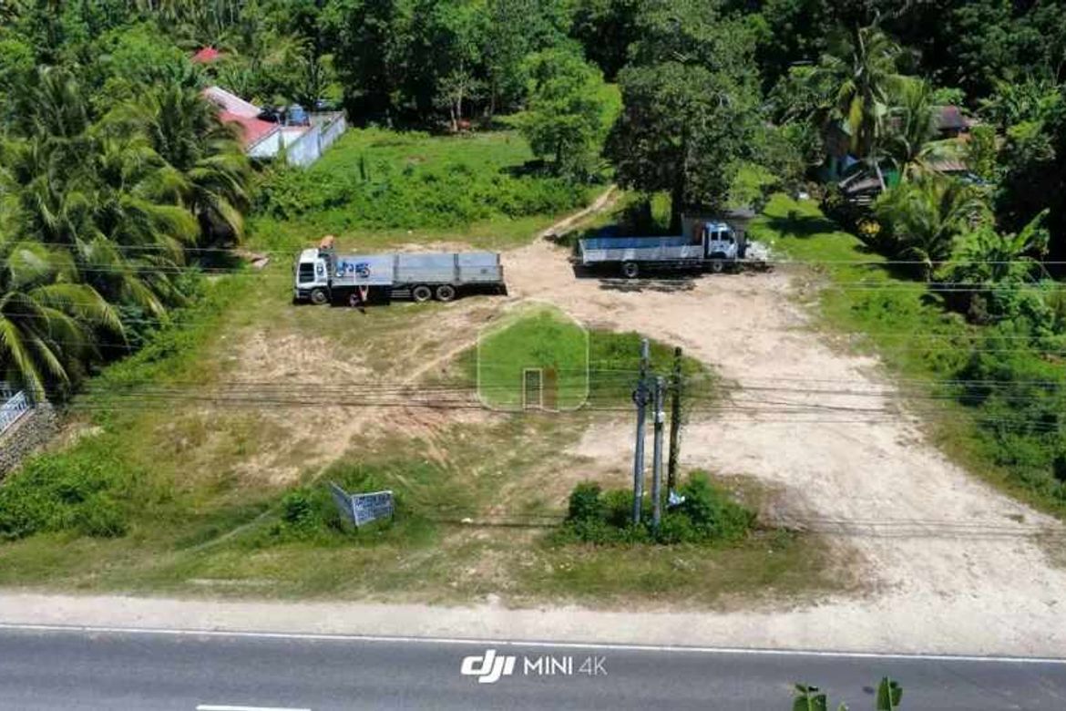 Land for Sale in Santa Filomena, Alburquerque, Bohol – photo 2