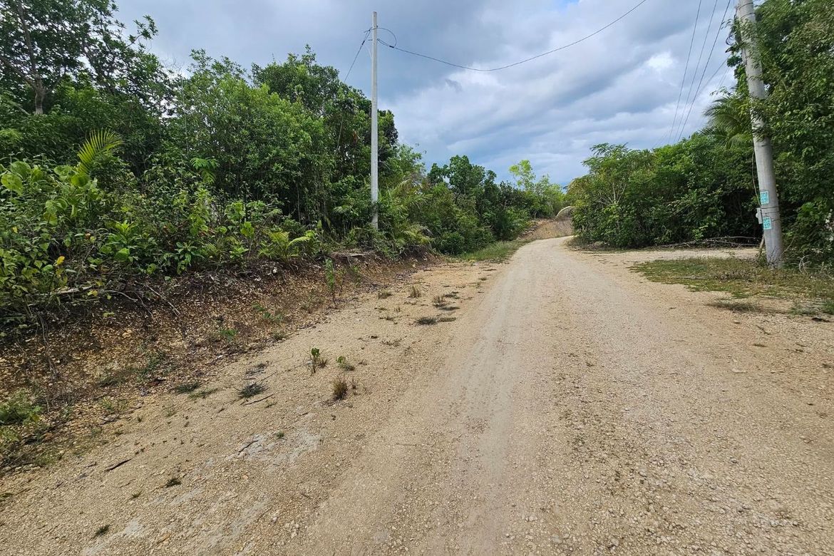 Land for Sale in Santa Filomena, Alburquerque, Bohol