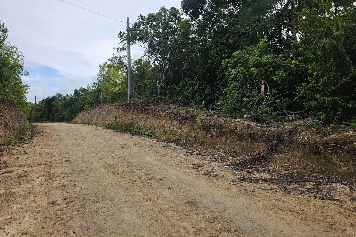 Land for Sale in Santa Filomena, Alburquerque, Bohol – photo 3