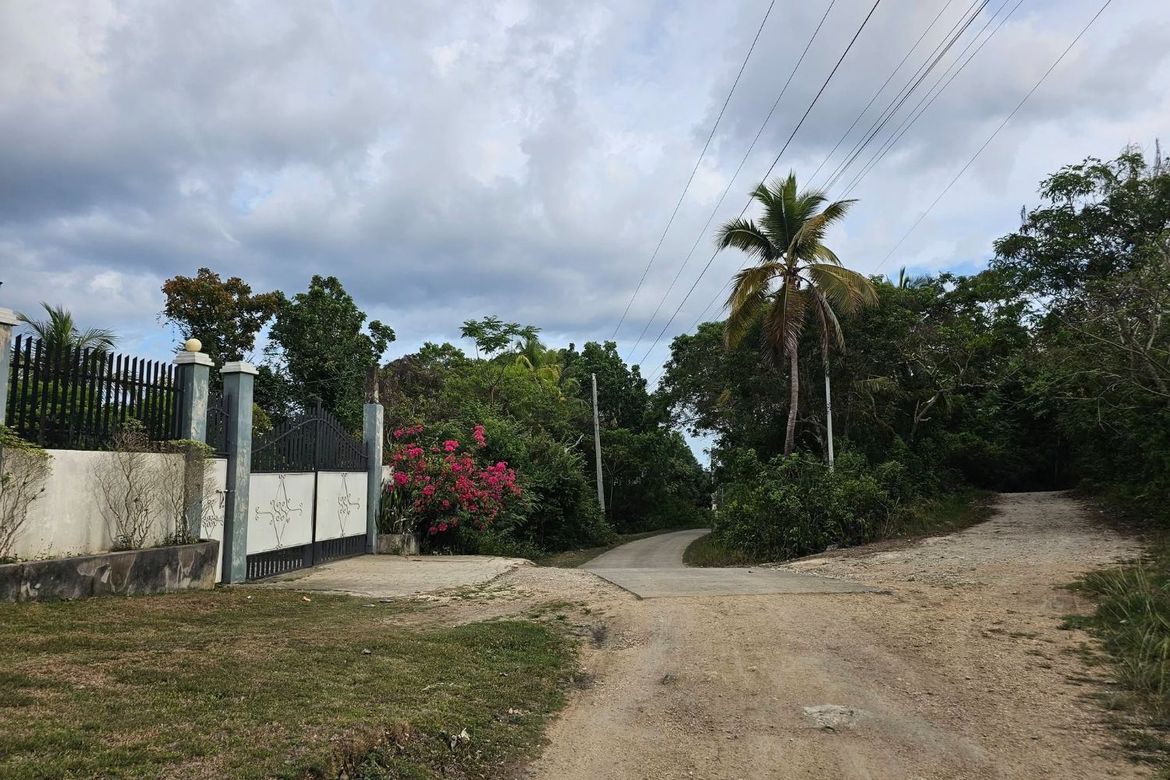 Land for Sale in Santa Filomena, Alburquerque, Bohol – photo 5