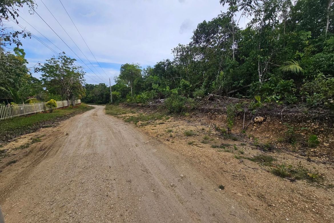 Land for Sale in Santa Filomena, Alburquerque, Bohol – photo 6