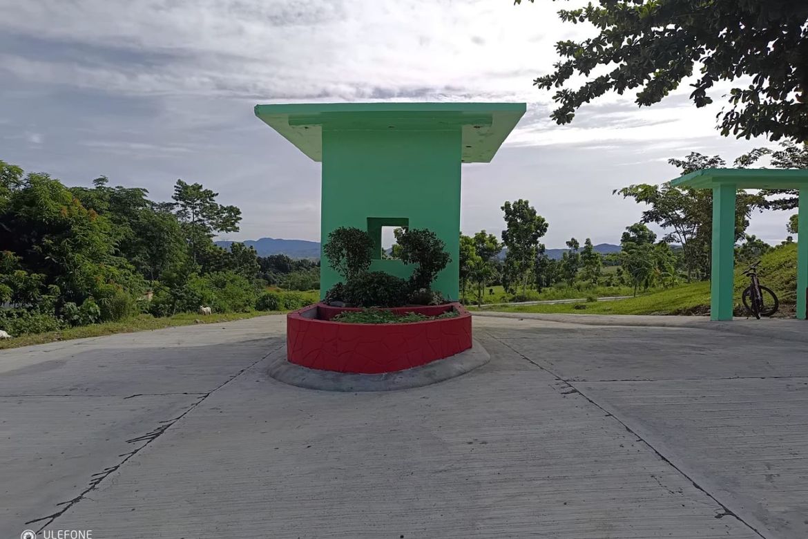 Land for Sale in Santa Filomina, San Mariano, Isabela – photo 3