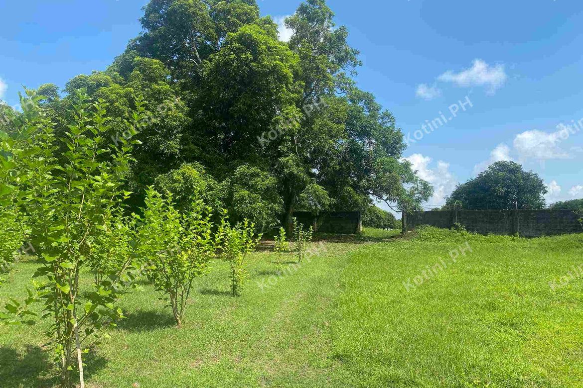 Land for Sale in Santa Ines, San Miguel, Bulacan – photo 5