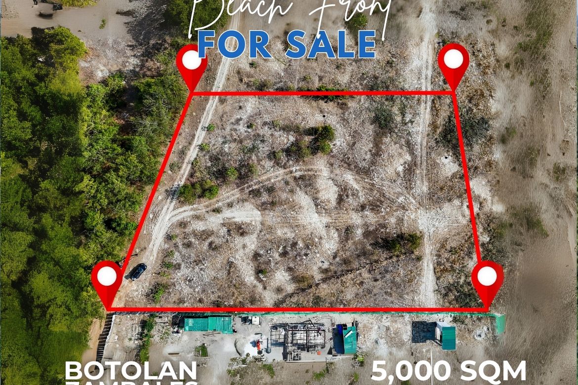 Land for Sale in Santa Juliana, Capas, Tarlac – photo 3