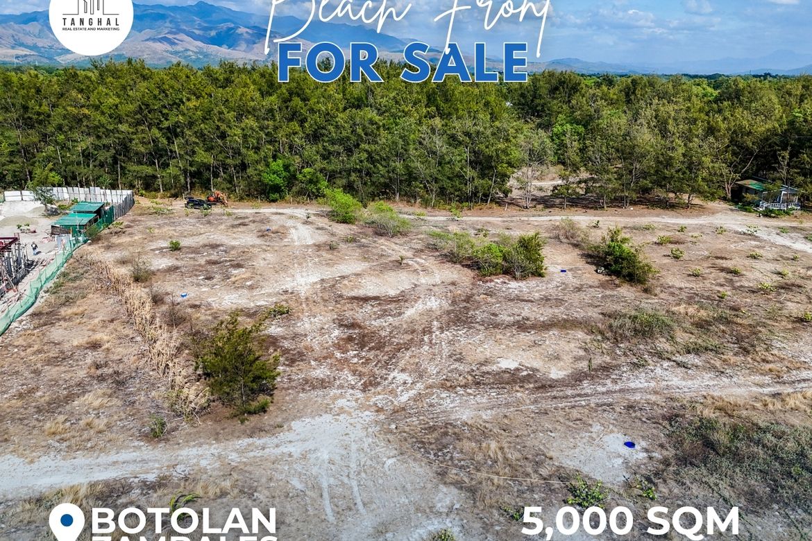 Land for Sale in Santa Juliana, Capas, Tarlac – photo 8
