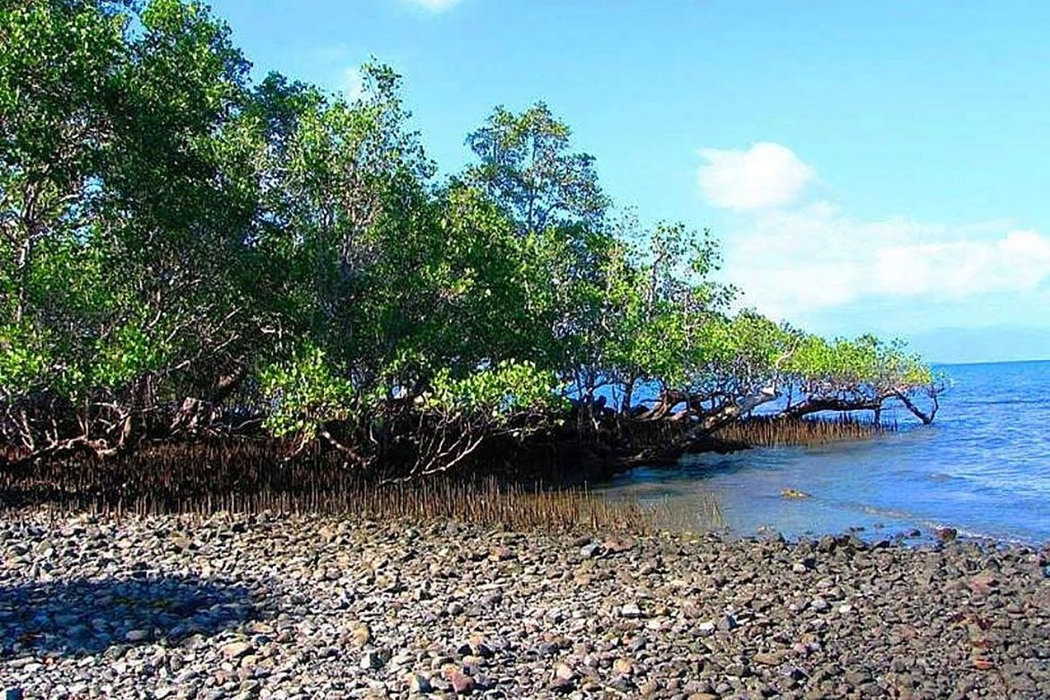 Land for Sale in Santa Lourdes, Puerto Princesa, Palawan – photo 5