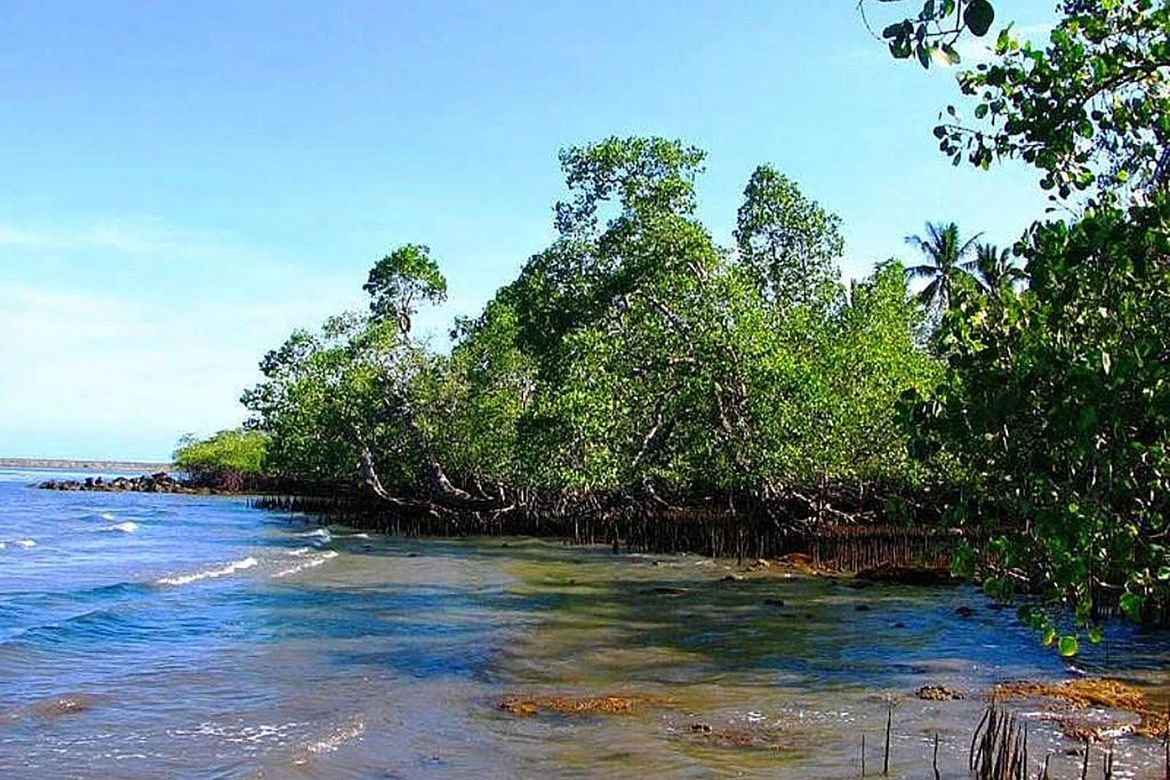 Land for Sale in Santa Lourdes, Puerto Princesa, Palawan – photo 6