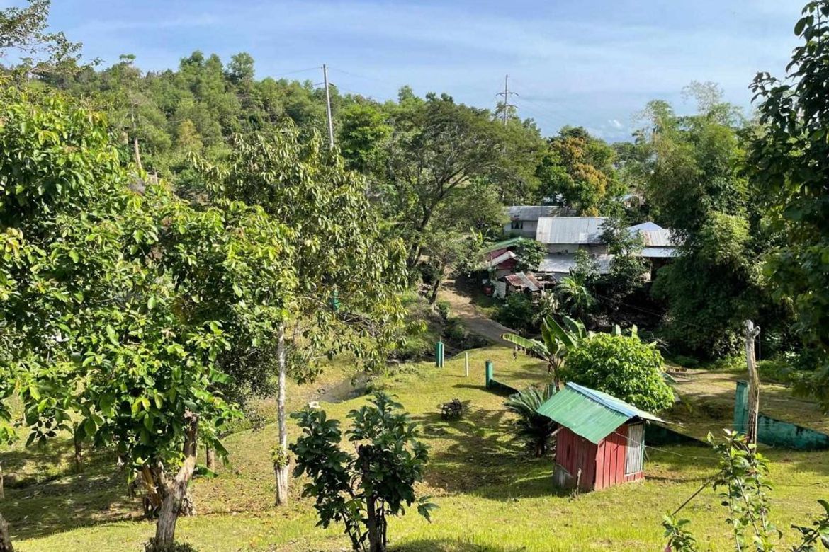 Land for Sale in Santa Lourdes, Puerto Princesa, Palawan – photo 5