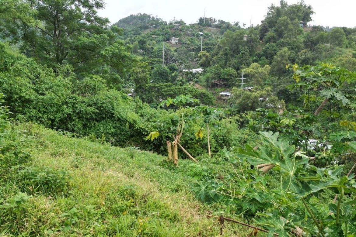Land for Sale in Santa Lourdes, Puerto Princesa, Palawan – photo 6