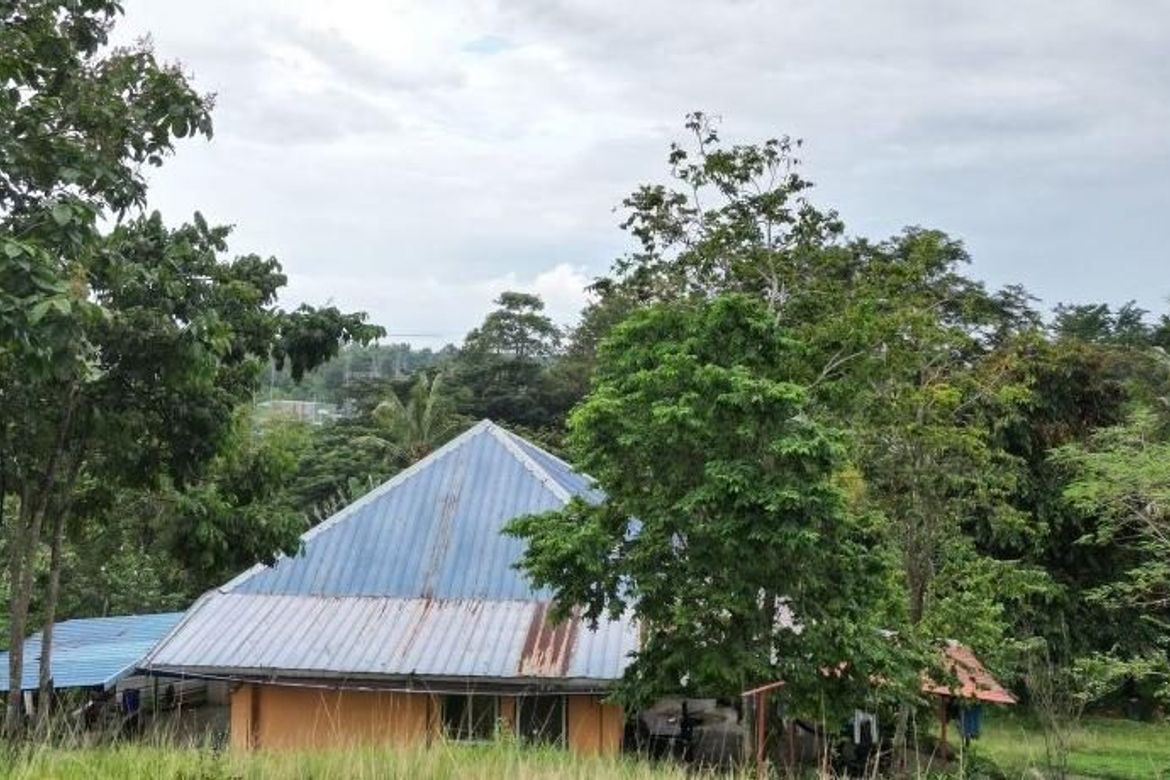 Land for Sale in Santa Lourdes, Puerto Princesa, Palawan – photo 8