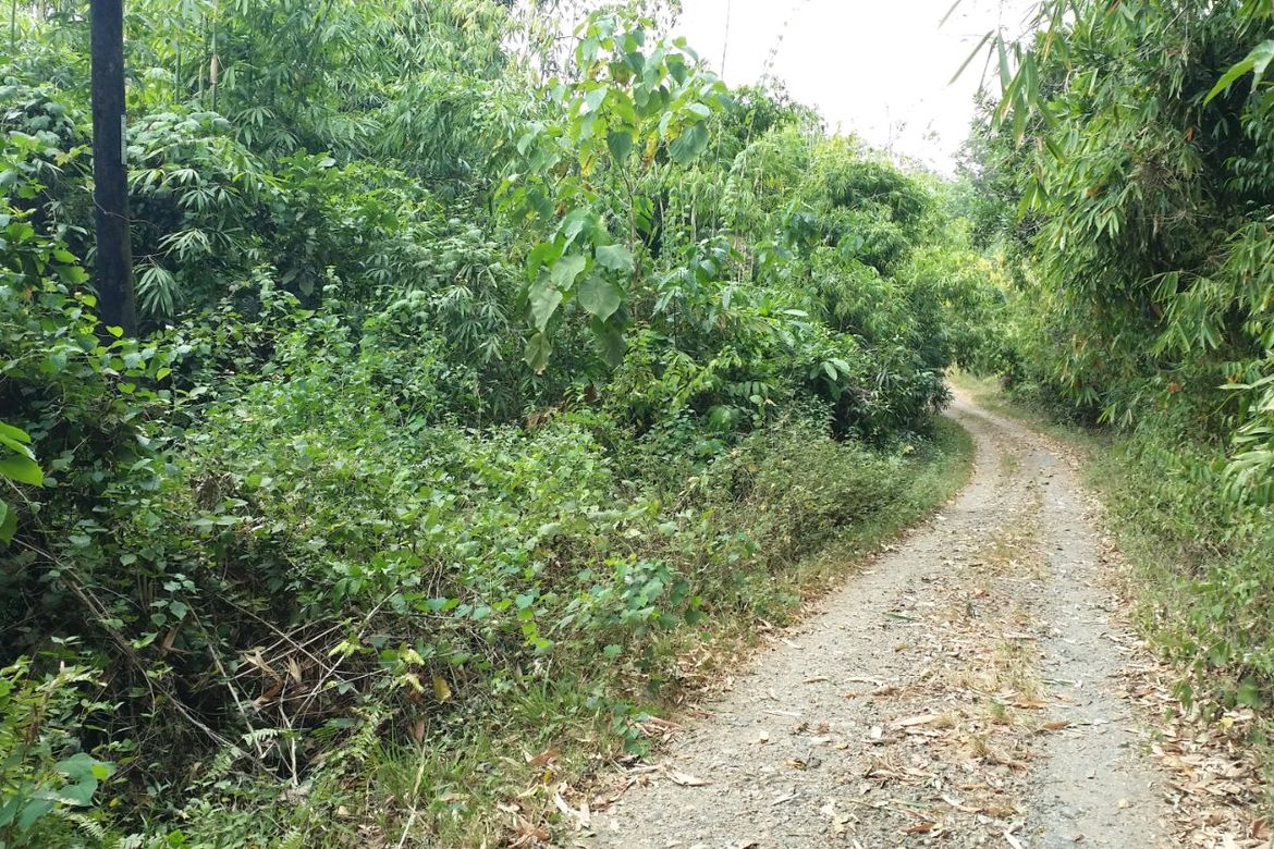 Land for Sale in Santa Lourdes, Puerto Princesa, Palawan – photo 2