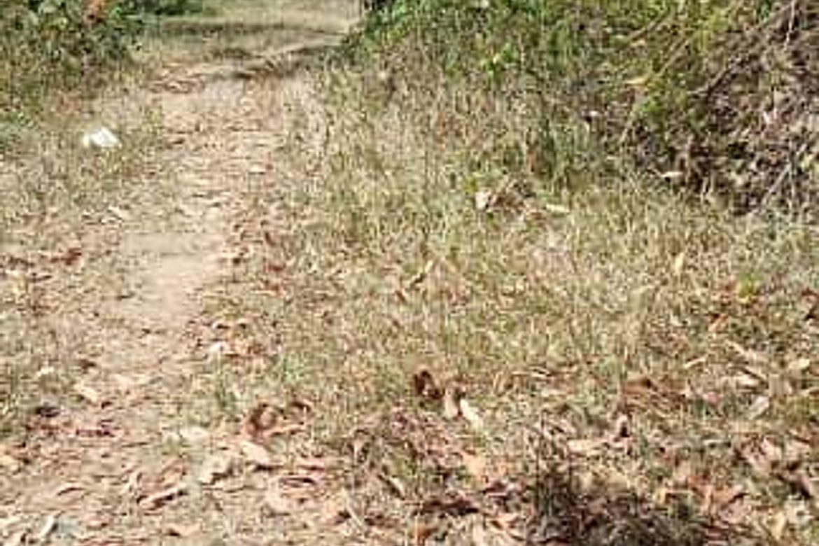 Land for Sale in Santa Lourdes, Puerto Princesa, Palawan – photo 6