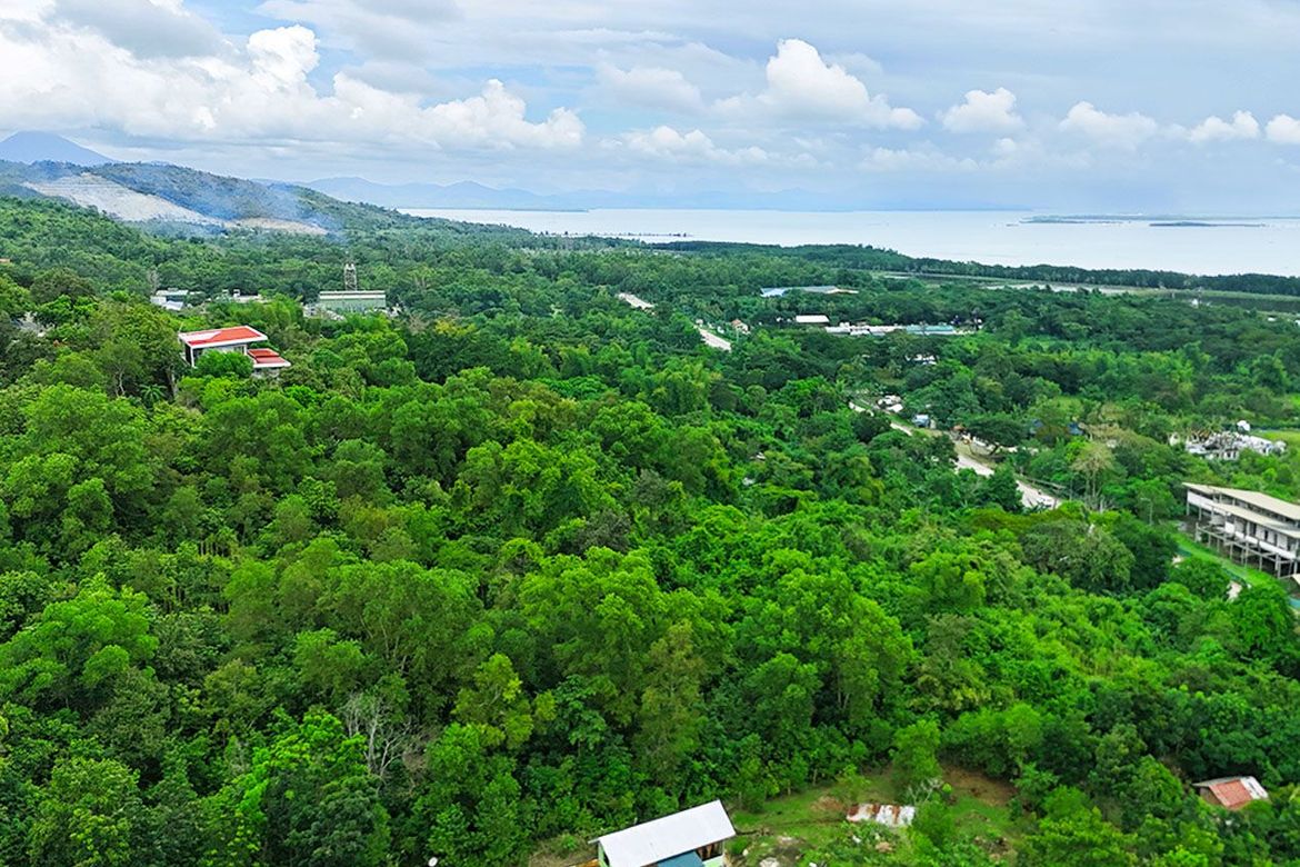 Land for Sale in Santa Lourdes, Puerto Princesa, Palawan – photo 5