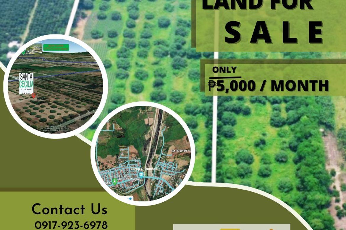 Land for Sale in Santa Lucia, Capas, Tarlac