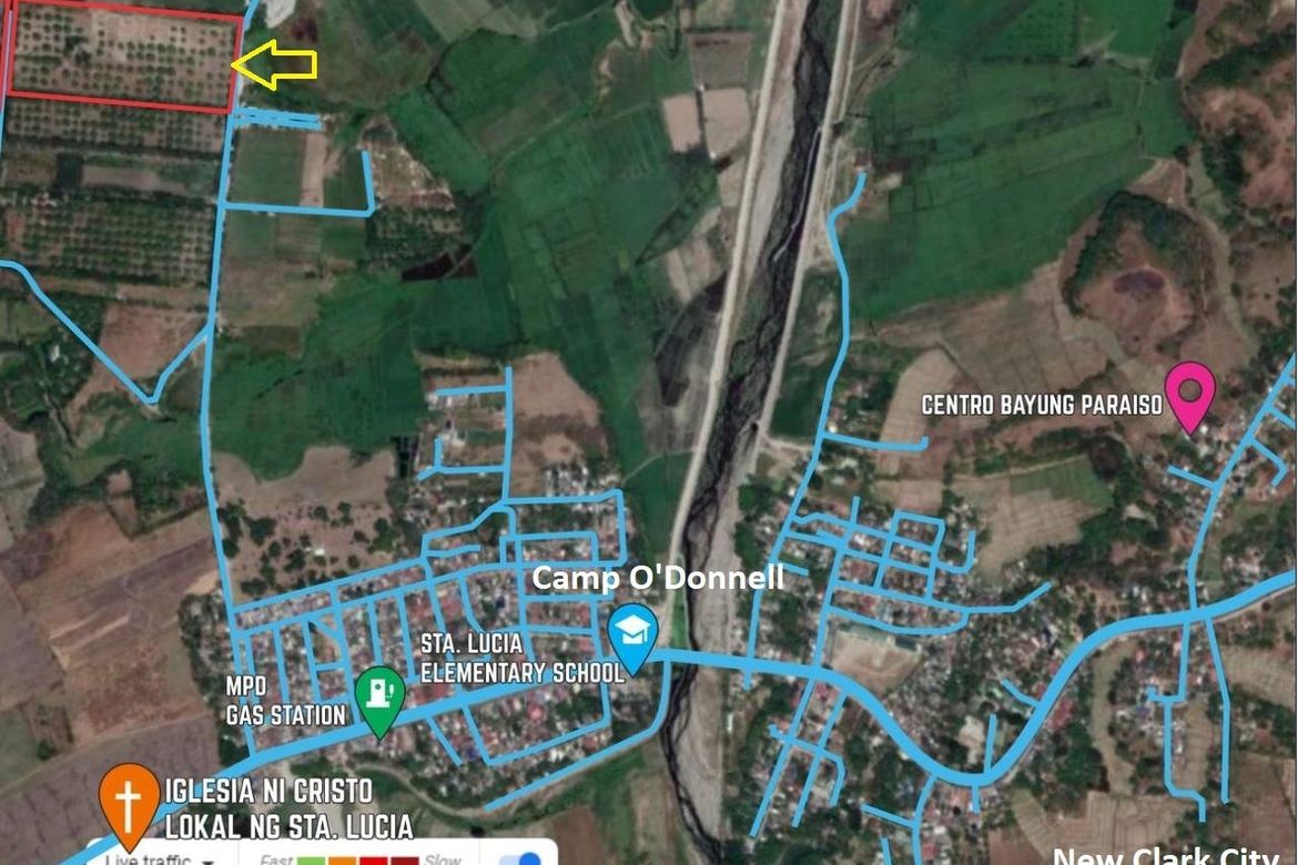 Land for Sale in Santa Lucia, Capas, Tarlac – photo 3
