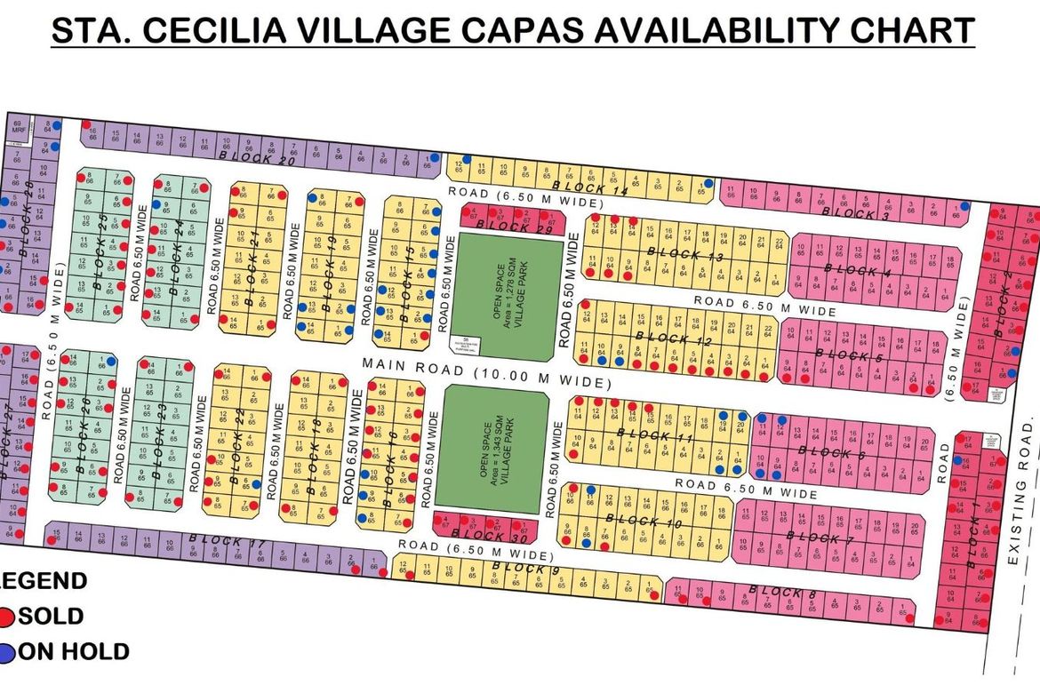 Land for Sale in Santa Lucia, Capas, Tarlac – photo 5