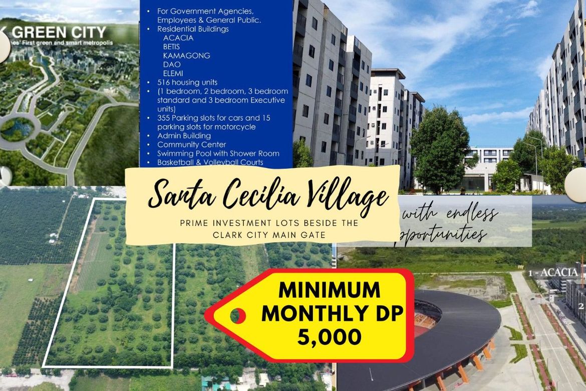 Land for Sale in Santa Lucia, Capas, Tarlac – photo 2