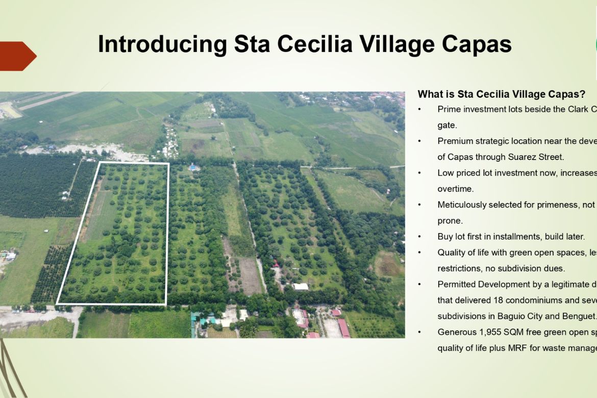 Land for Sale in Santa Lucia, Capas, Tarlac – photo 6