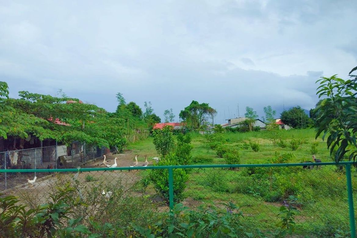 Land for Sale in Santa Lucia, Magalang, Pampanga – photo 2